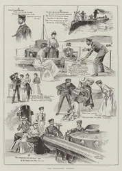 The Refractory Torpedo